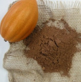 ＊cocoa＊ページ CocoaSupply - Natural hi fat quality cacao powder