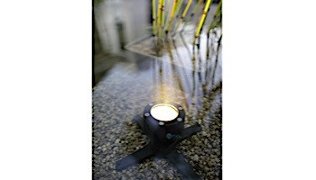 In-Lite Sub