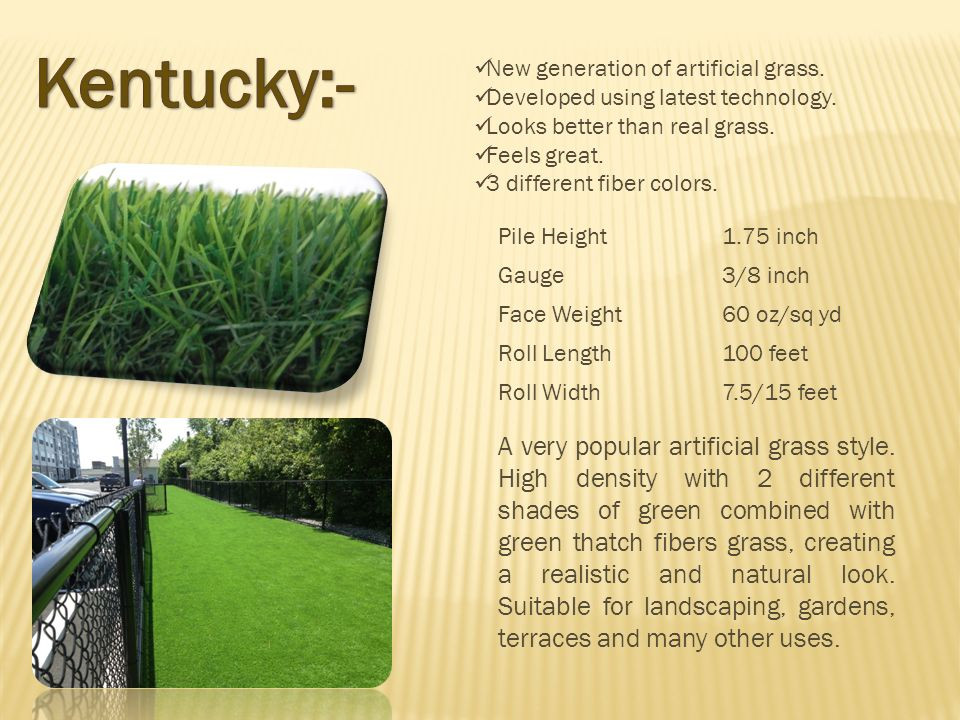 Kentucky Artificial Turf Green Foundry Co.
