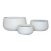 Asher Bowl