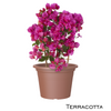 Artivasi Cilindro XL Pot