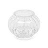 Ribbed Glass Self Watering Pot Small