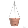 Leonard Hanging Self Watering Pot Brick