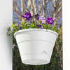 Leonard Hanging Self Watering Pot