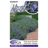 Rosmarinus officinalis 'Mozart 140 mm