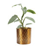 Khana Indoor Metal Planter