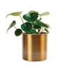 Lulla Indoor Metal Planter
