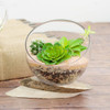 Natural Pebbles 2-3mm 740g