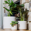 Farah Cylinder Pot in white glazed ceramic