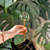 Self-Watering Plant Globe