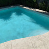 Marble Seagrass