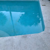 Marble Seagrass