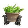 Dog Pot Feet Resin