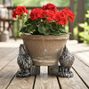 Rooster Pot Feet Resin
