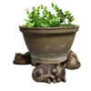 Sleeping Cat Pot Feet Resin