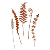 Wild Flora Stake