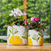 Sunny Pot
