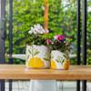 Sunny Pot