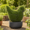 Chicken Topiary Frame Silver