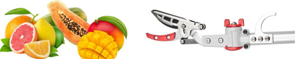 Cut n Hold Fruit & Flower Pruner: Pick Without Damaging your Product.