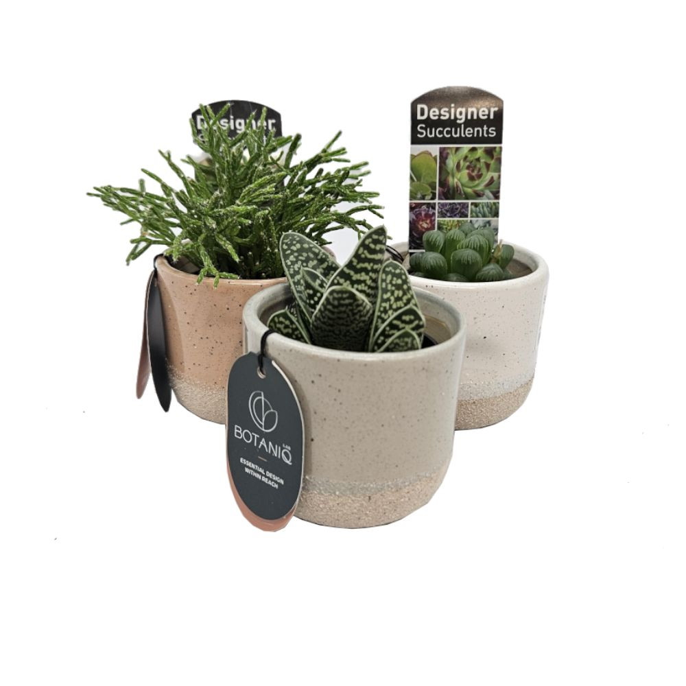 plant fertilizer with nitrogen Milorganite Fertilizer (5 lbs.)  Johnson's Garden Centers