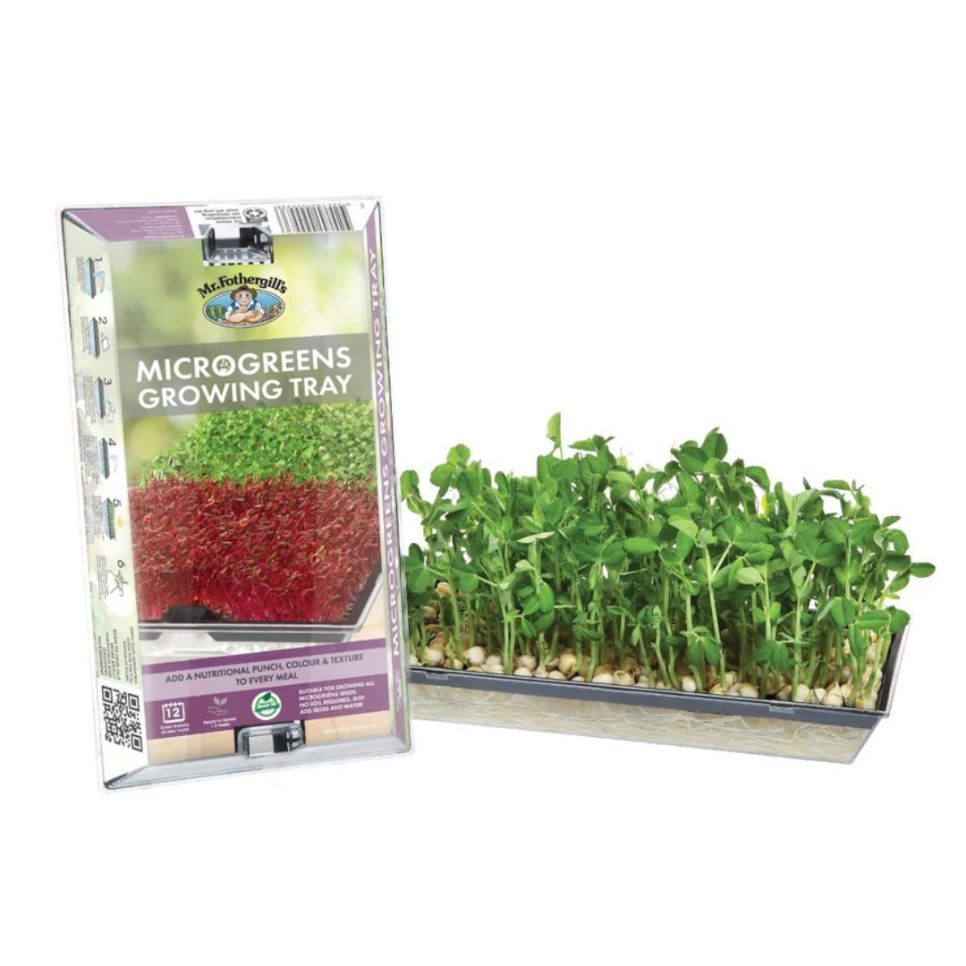 13+ How Much Microgreen Seeds Per Tray Microgreens Growing Tray Seeds - Four Seasons Nursery