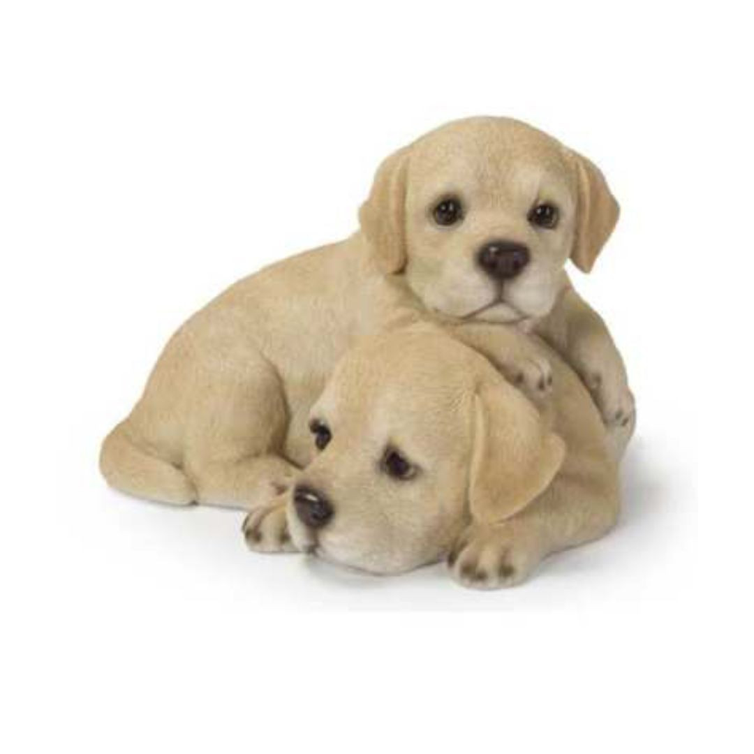 Labrador Puppy Four Seasons Nursery