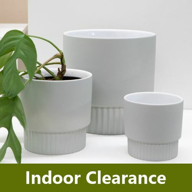 Indoor Pots Clearance | Up to 50% Off | Four Seasons Nursery