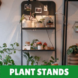 Plant Stands & Shelves
