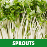Sprouts