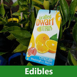 Edibles