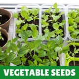 Vegetable Seeds