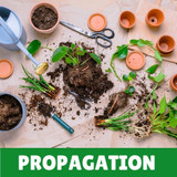Propagation Tools