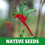 Australian Native Seeds