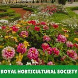 Royal Horticultural Society Seeds