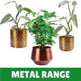 Indoor Metal Range
