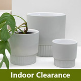 Indoor Pots Clearance