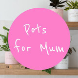 Pots For Mum
