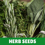 Herb Seeds