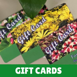 Gift Cards