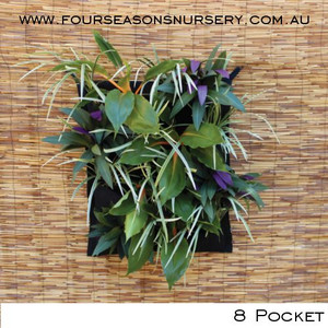 Clyde Ecopocket 8 Pocket