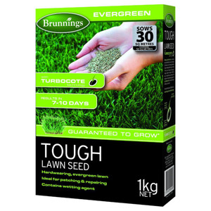 Tough Lawn Seed Tough Lawn Seed
