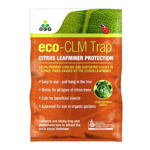 Eco CLM Leaf Minor Trap