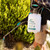 Hills Heavy Duty Sprayer Hills Heavy Duty Sprayer