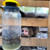 Envirosafe Jumbo Fly Trap Envirosafe Jumbo Fly Trap