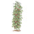 Tomato Trainer 133cm