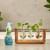 Osmocote Pump & Feed Water Planters Fertiliser 236ml