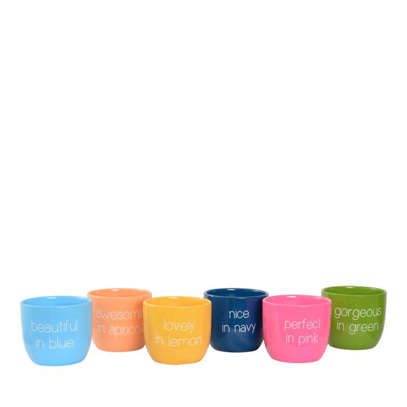 Colour Pop Planter Pot 14cm Assorted