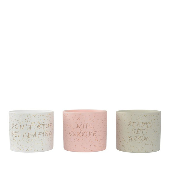 Quirky Quotes Planter Pot 14cm Assorted