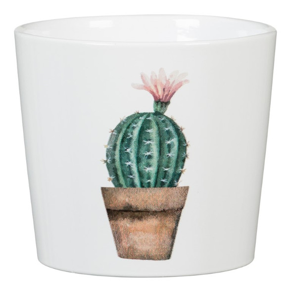 Mini Cactus Pot 9cm Mini Cactus Pot 9cm